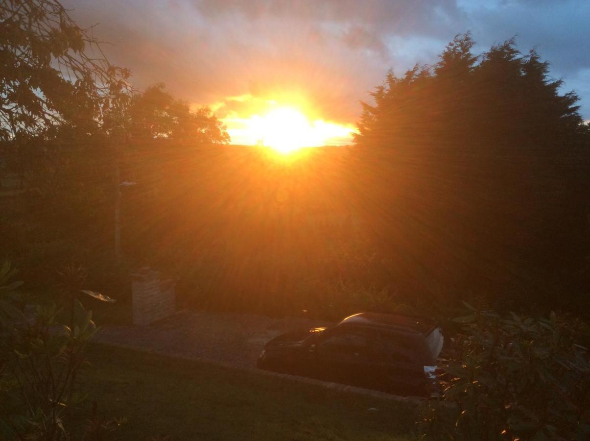 Molehill Lodge Swansea Dış mekan fotoğraf