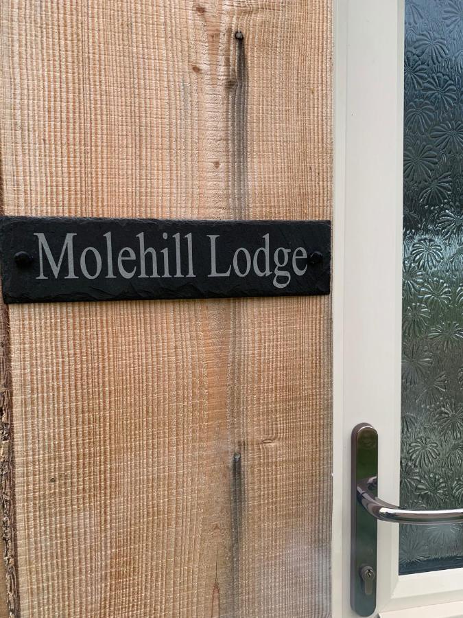 Molehill Lodge Swansea Dış mekan fotoğraf