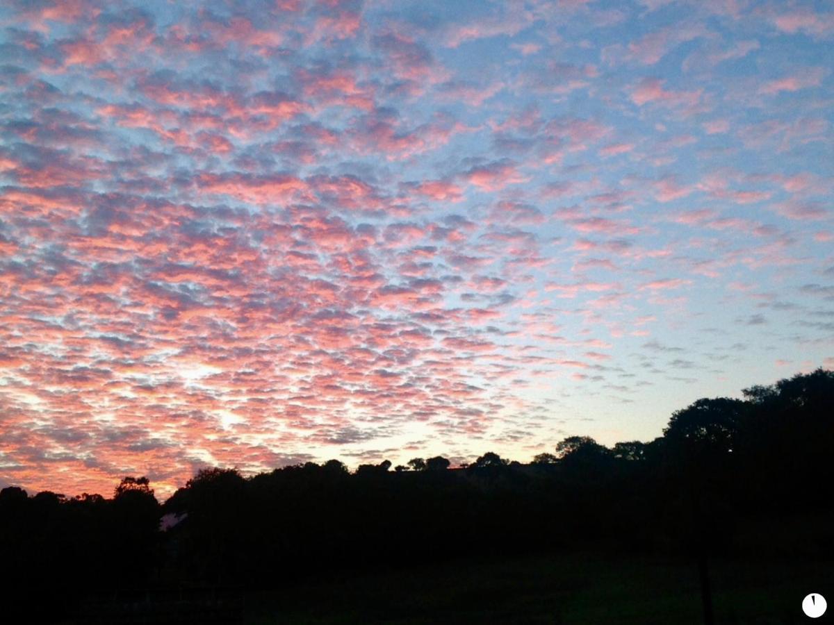 Molehill Lodge Swansea Dış mekan fotoğraf