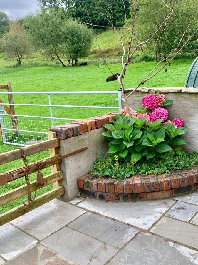 Molehill Lodge Swansea Dış mekan fotoğraf